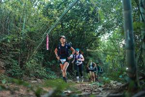 BIB: 
                            <button type="button" onclick="openModal(28025331)" class="btn btn-primary btn-sm float-right btn-popup" data-toggle="modal" data-target=".modal-high-quality">
                        <i class="fas fa-shopping-cart"></i> Add to Cart
                    </button>
                                            <button type="button" onclick="isThisMe(28025331, true)" class="btn btn-success btn-sm float-right btn-popup btn-isme hidden" data-toggle="tooltip" data-placement="bottom" title="นี่คือรูปของคุณใช่ไหม คลิกที่นี่เพื่อเอาเข้าอัลบั้ม">
                        <i class="fas fa-plus"></i> Add to album
                    </button>
                    <button type="button" onclick="isThisMe(28025331, false)" class="btn btn-warning btn-sm float-right btn-popup btn-isnotme hidden">
                        <i class="fas fa-ban"></i> Remove from album
                    </button>